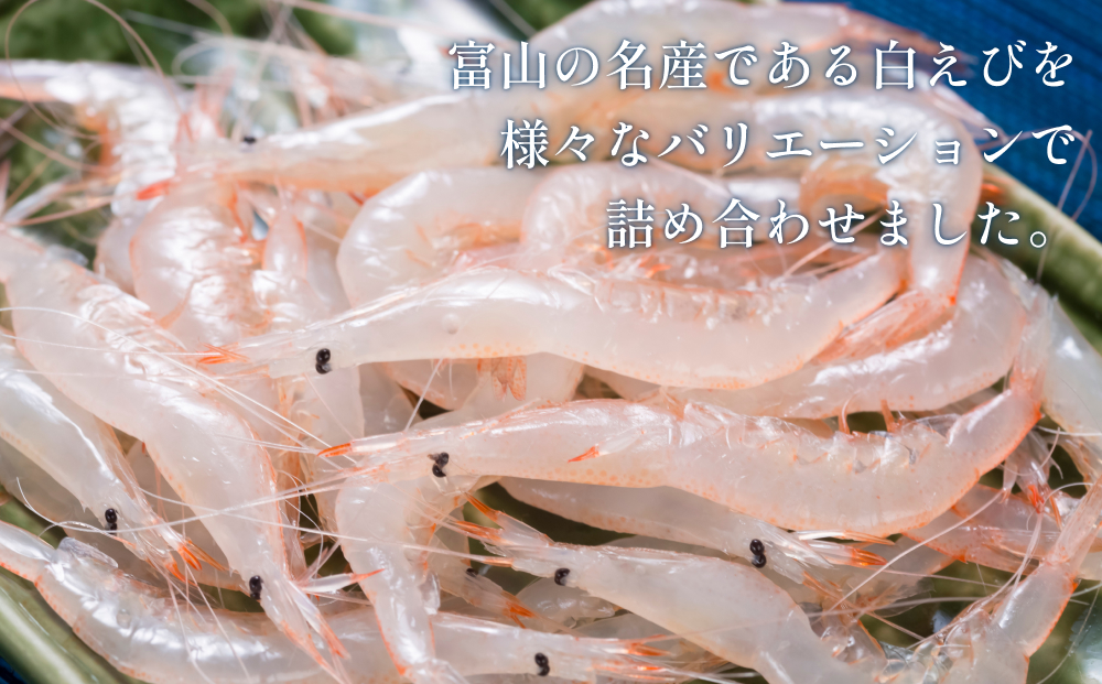白えび三昧 白エビ 海老 殻つき むき身 昆布締め 刺身 富山