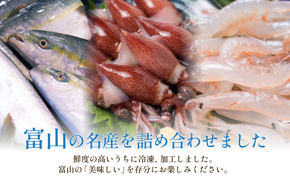 富山湾三大名物・極 鰤 ホタルイカ 白えび つめ合わせ ブリ