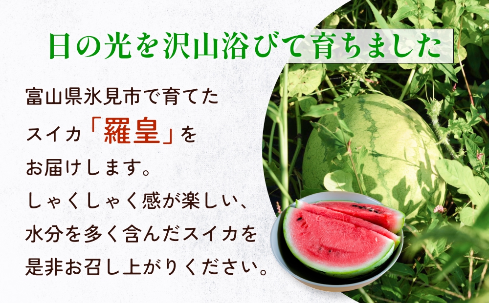 【先行予約】富山県産スイカ 羅皇 中玉 2玉 （3-4kg/玉） 【20