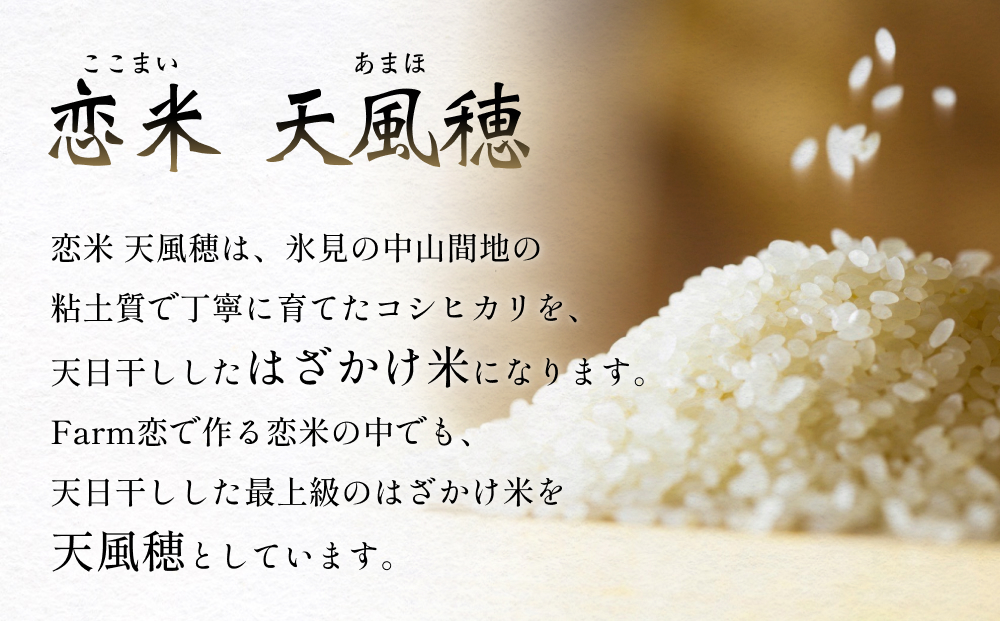 令和7年産 富山県産コシヒカリ 5kg　恋米（ここまい） 天風