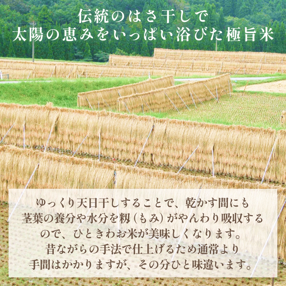 《数量限定》令和７年産 はさがけ米 精米5kg 富山県 氷見市 