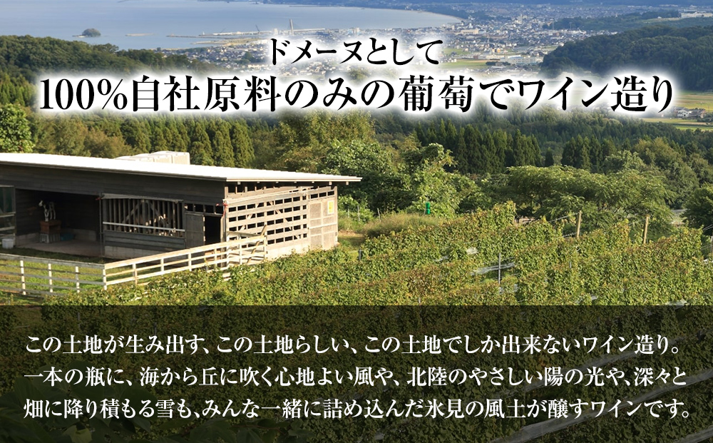 【先行予約】SAYS FARM ワイン4本セット ＜2026年3月以降順次発