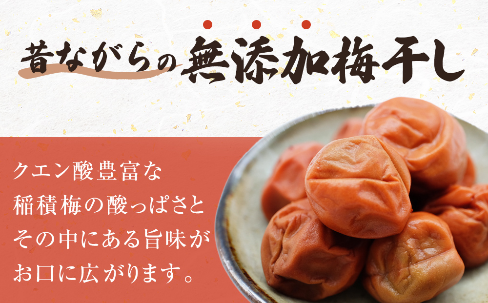 梅干し お米（10kg）付き！｜　富山県 氷見市 固定種 稲積梅