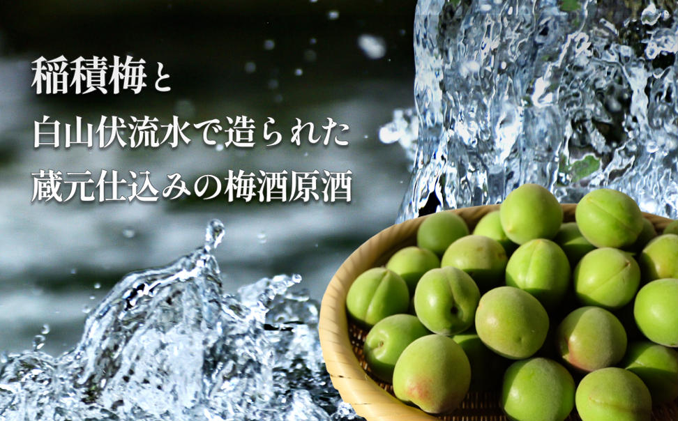 氷見稲積梅酒原酒（2本セット）｜富山 氷見 エコファーマ