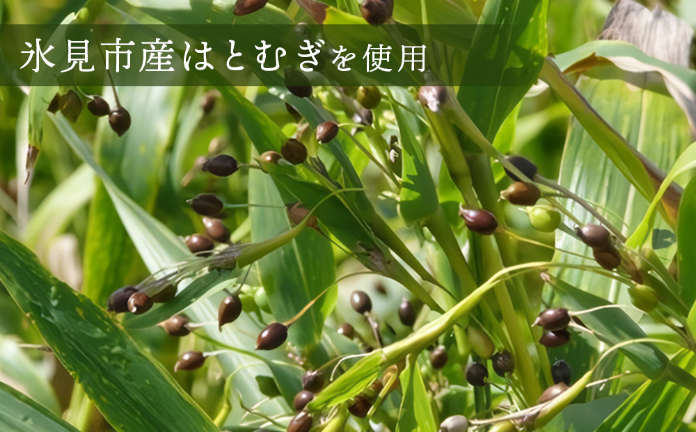 氷見はとむぎ茶　焙煎茶120g（10g×12包）×6袋  | ハトムギ 無