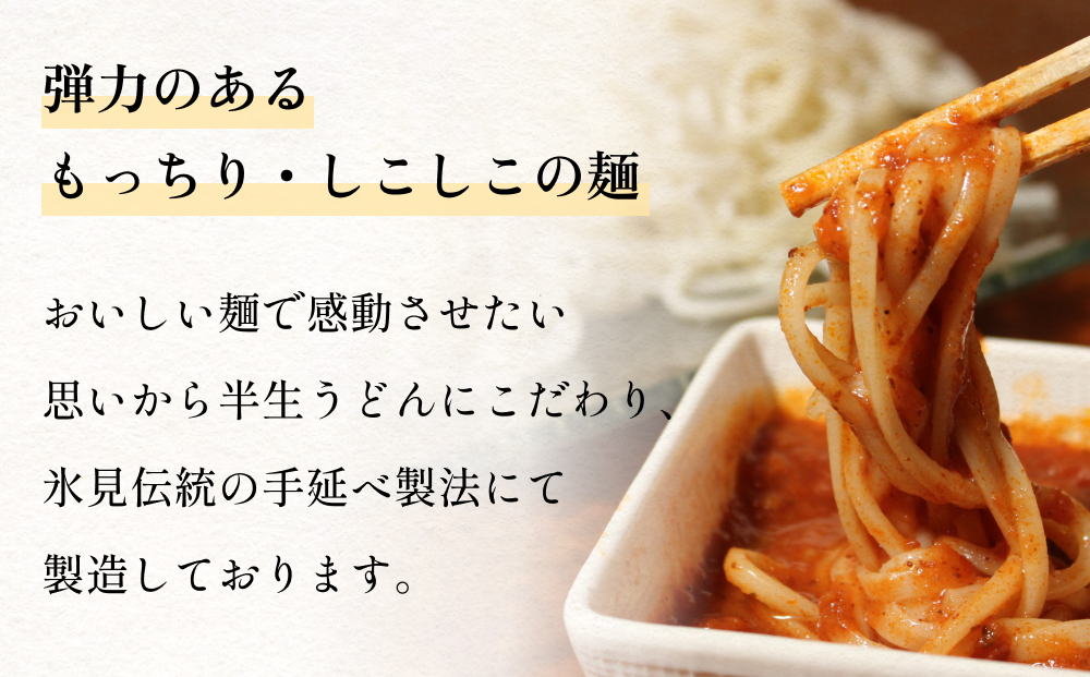 半生 氷見のうどん （細麺）２００ｇ×５袋　１０人前 富山
