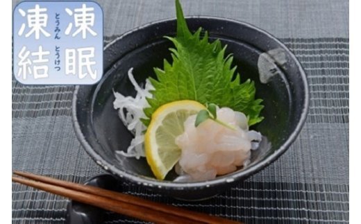 ”富山湾の宝石”白エビ３種（殻付き・刺身・昆布〆）〈