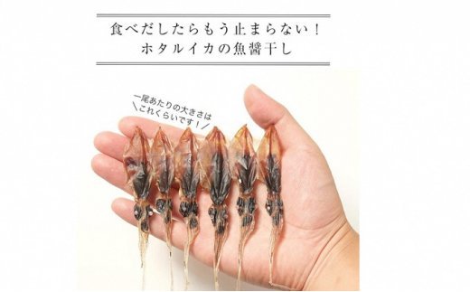 越中氷見屋　ホタルイカ 魚醤干し 18尾入り × 11袋　【魚貝