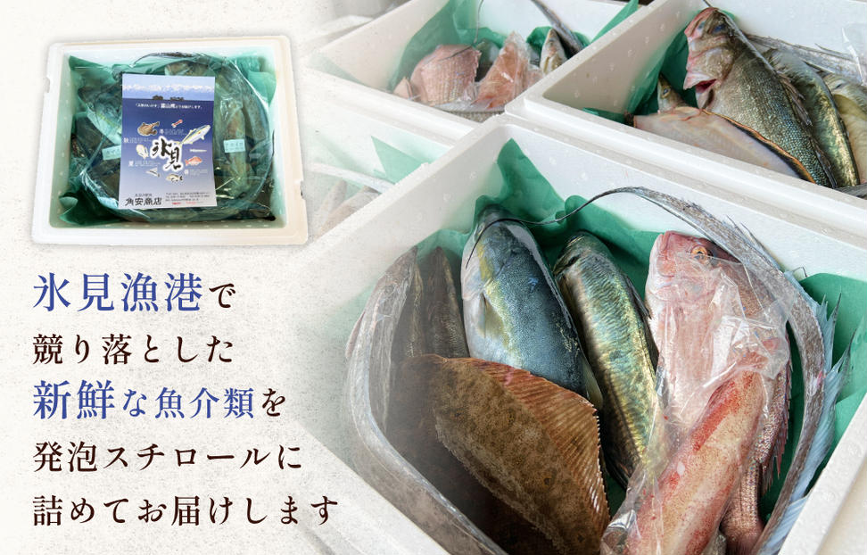 天然のいけす 富山湾 氷見漁港 旬の鮮魚セット※配送地域
