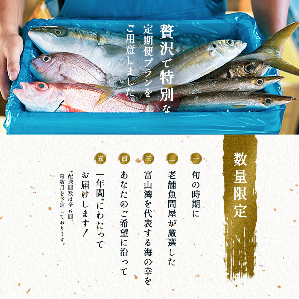 氷見漁港直送！〈豪華 魚介類 定期便〉ミシュラン星付き店