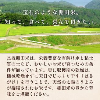 令和６年度 長坂棚田　オーナー会員（１区画）