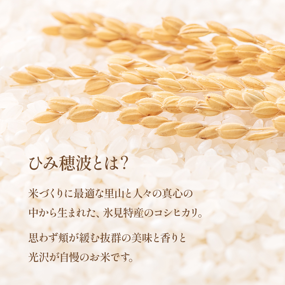 令和7年産 富山県産 コシヒカリ 《ひみ穂波》 10kg　＜2025年1