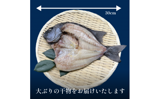 完全受注生産！干物セット 贅 -Zei- | 贅沢な高級干物セット