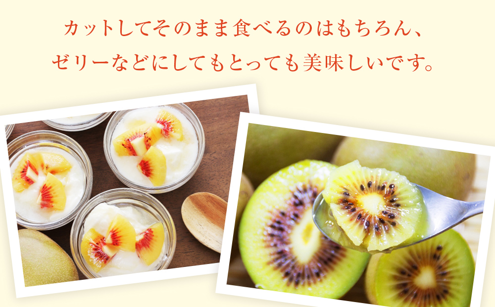 【先行予約】氷見産キウイ（レインボーレッド）1kg以上（9