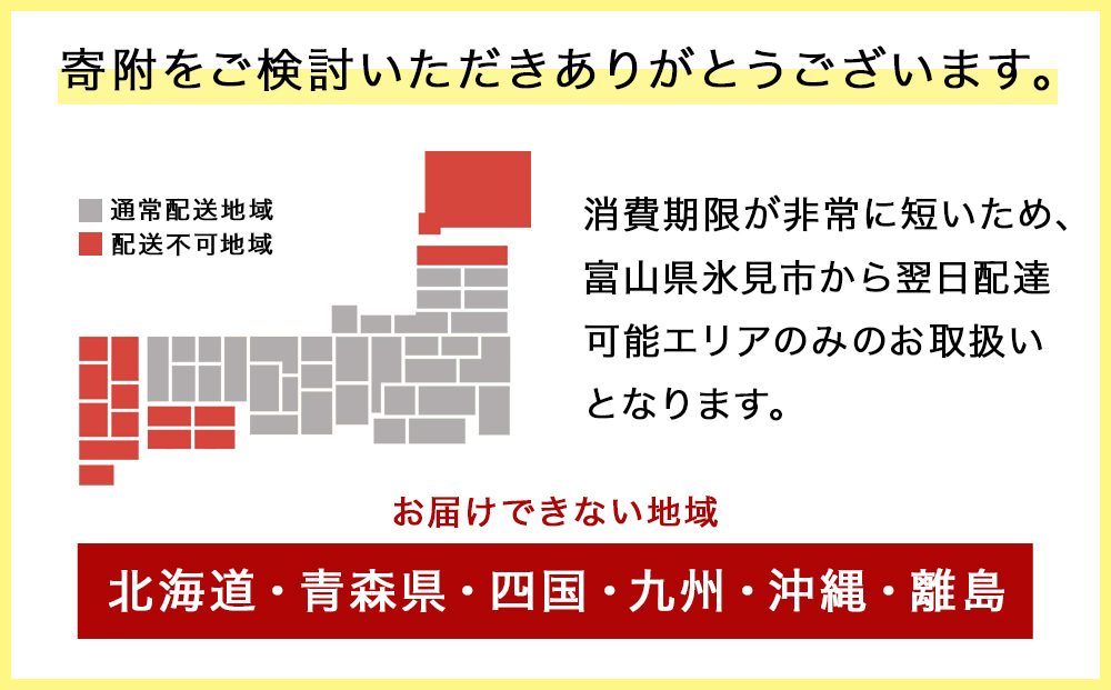 【1月配送開始】 本州配送限定 産地直送 氷見漁港 朝どれ鮮