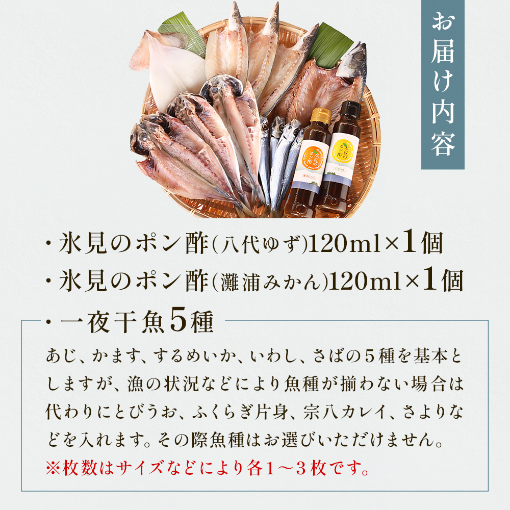 氷見　堀与の一夜干５種とポン酢２種のセット 富山県 氷見