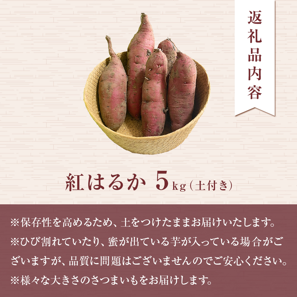 【先行予約】＜紅はるか＞富山県産 さつまいも 5kg 【2026年1