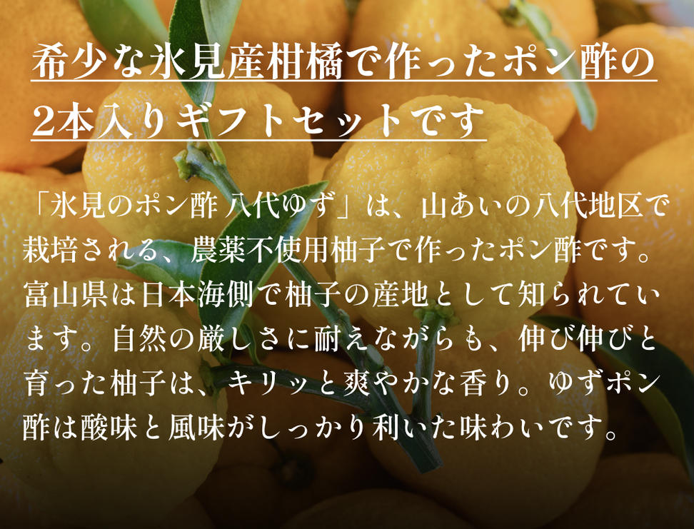 氷見のポン酢２本入りギフトセット 富山県 氷見市 ポン酢 
