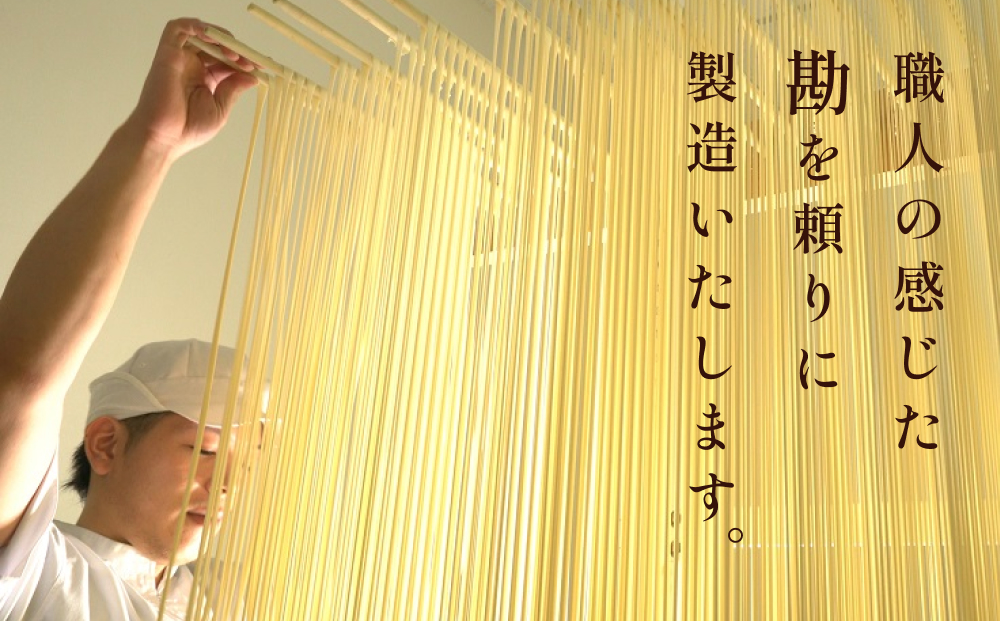 美乃氷見うどん5本入つゆ付き（200g×5本） 富山県 氷見市 う