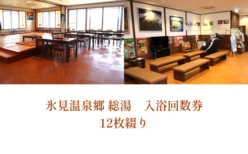氷見温泉郷 総湯 回数券（大人12回分） 富山県 氷見市 温泉 