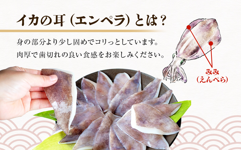 【訳あり】 氷見産 アオリイカの耳 1kg 〈冷凍〉