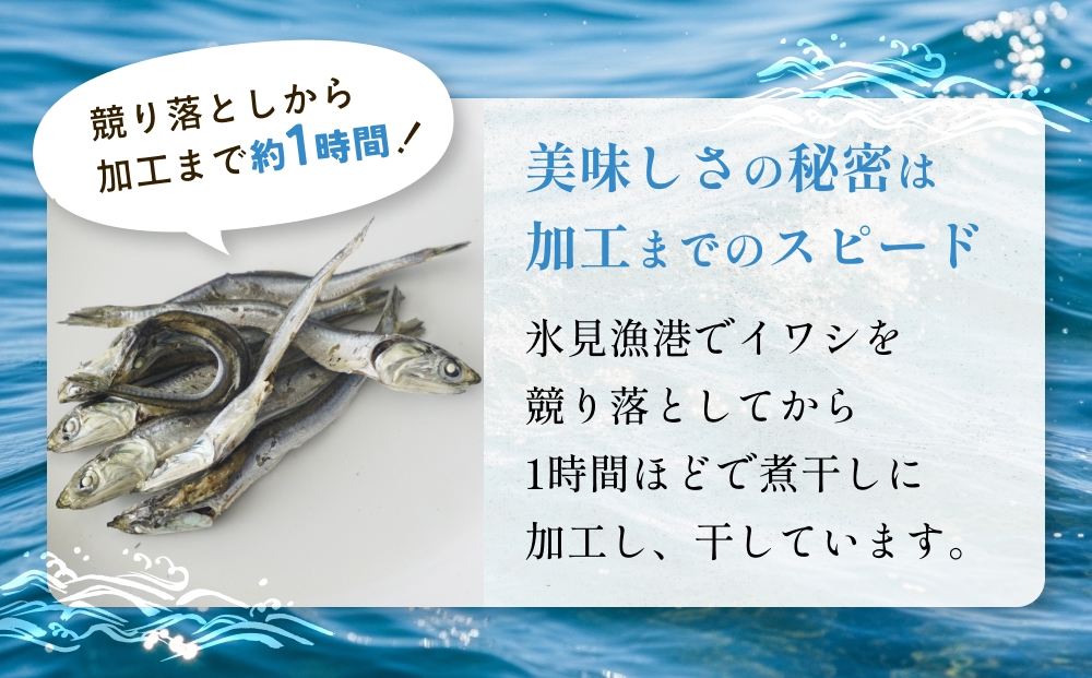 【訳あり】氷見産 煮干し1kg | イワシ いわし 鰯 訳アリ 干物