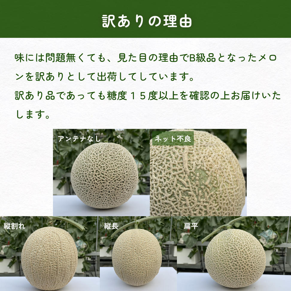 【訳あり】富山県産 アールスメロン（おまかせ計2個）  富
