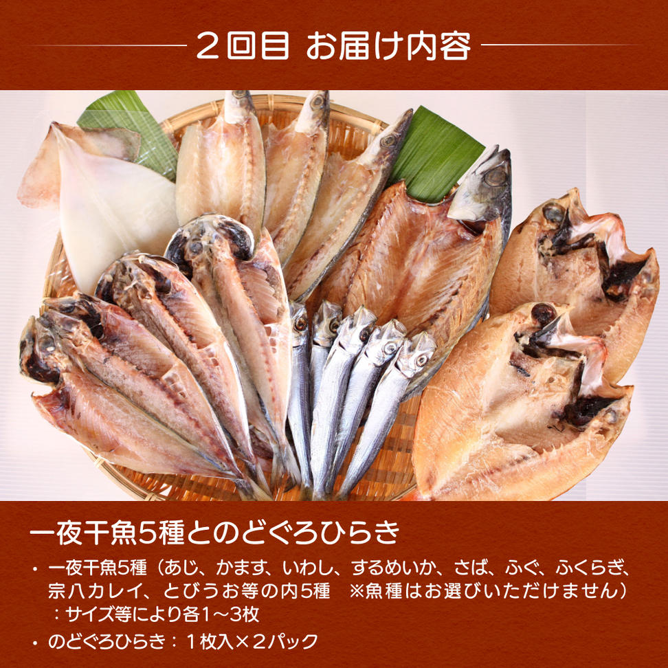 【5ヶ月連続お届け】氷見堀与 一夜干・昆布〆刺身・山海の