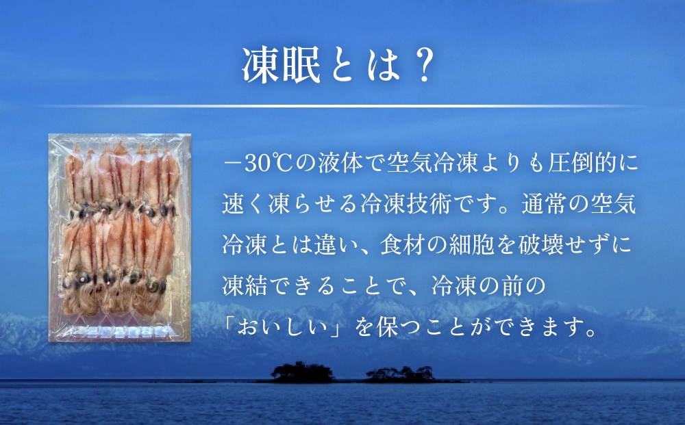生冷凍ホタルイカ（凍眠） 100g 富山県 氷見市 ほたるいか 