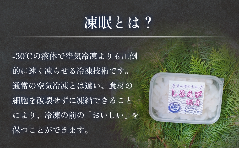 白えび刺身（むき身）2個 富山県 氷見市 白エビ 刺身 冷凍 