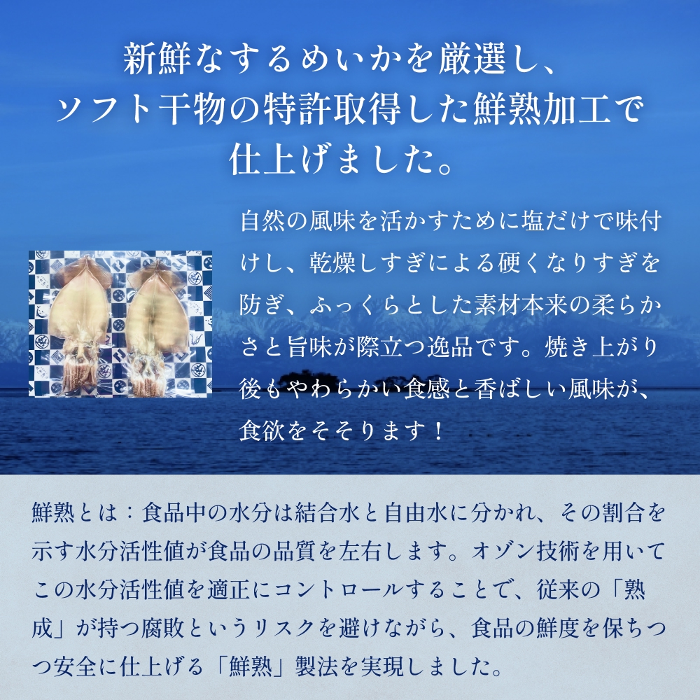 するめいか一夜干し 8枚 富山県 氷見市 イカ 干物