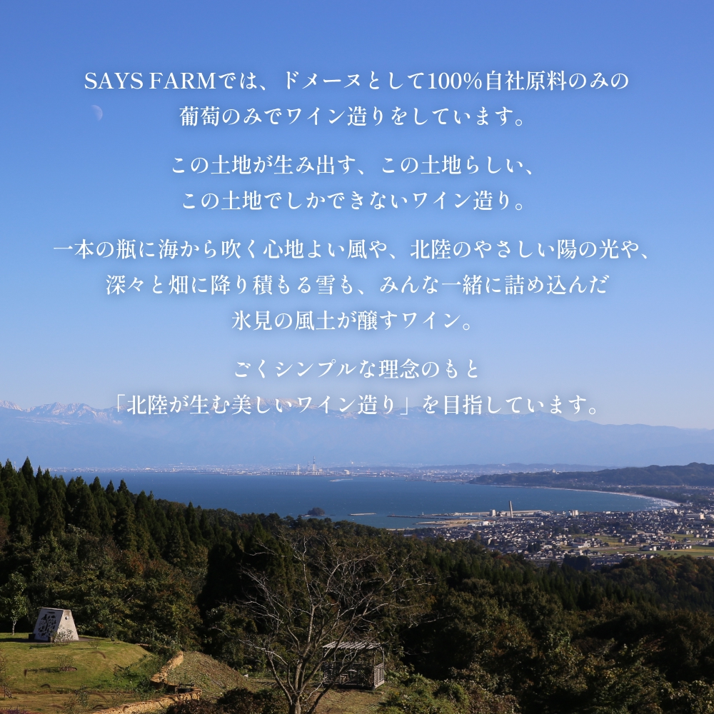 ＜先行予約＞SAYSFARM オーナークラブ会員 富山県 氷見市 ワ