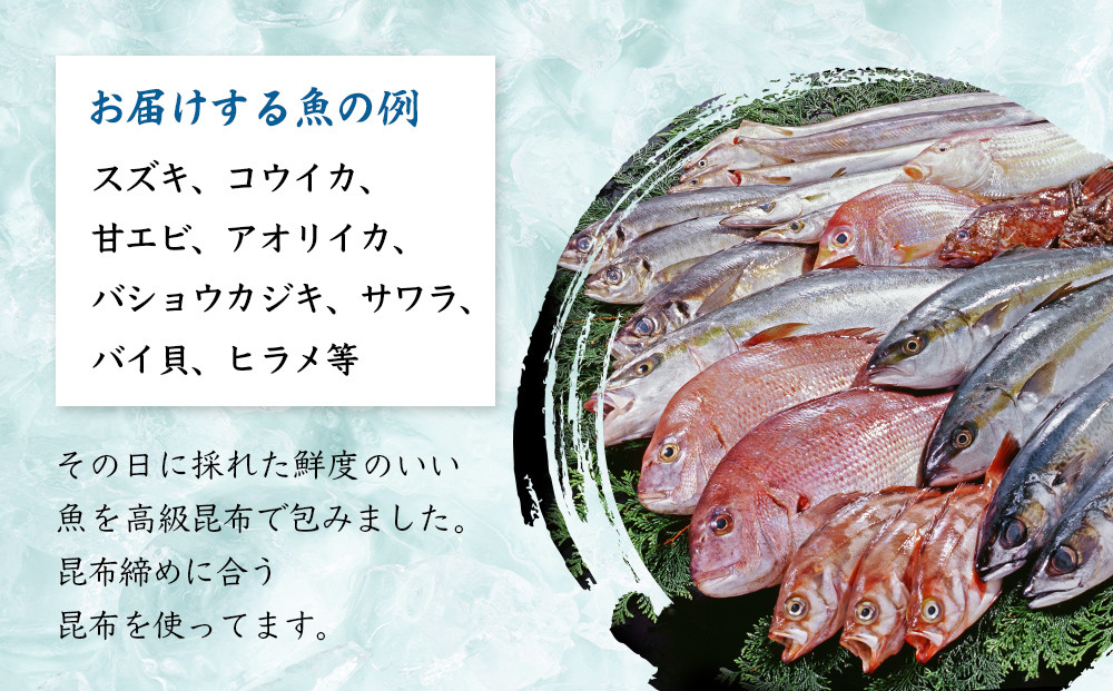 氷見産昆布締め 6種詰め合わせ 富山県 氷見市 刺身 昆布〆 