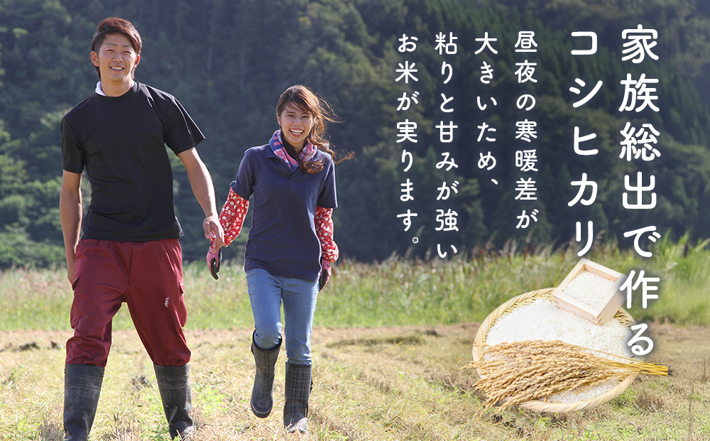 コシヒカリ 無洗米 5kg 富山県氷見産 ＜2025年10月以降発送＞ 