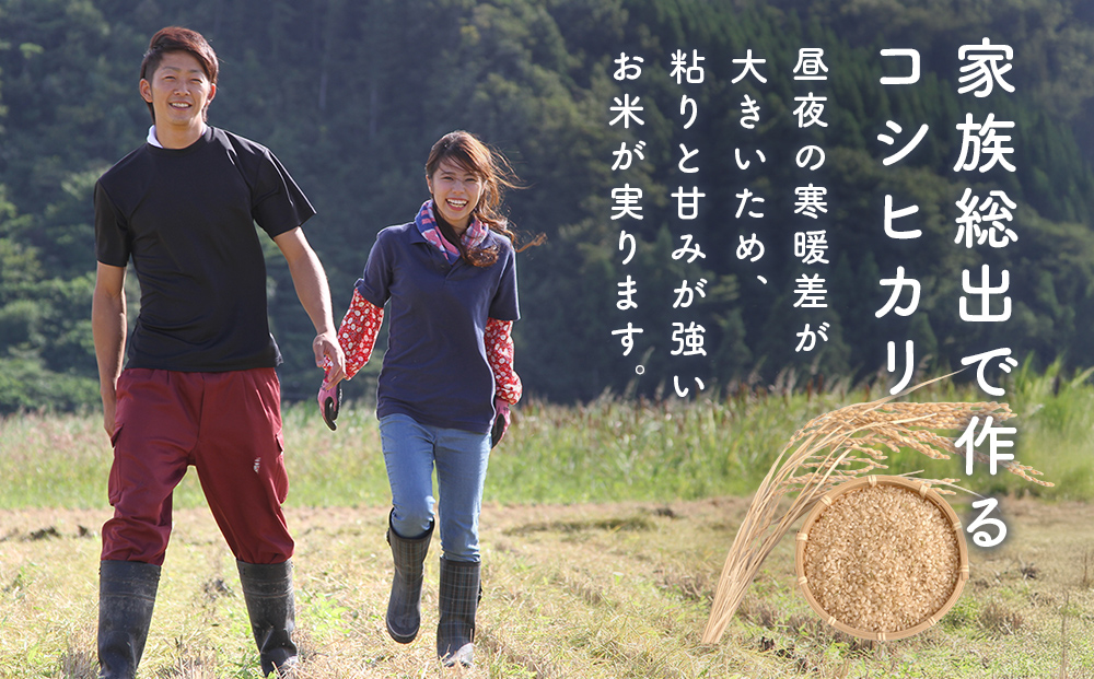 コシヒカリ 玄米 5kg 富山県氷見産 ＜2025年10月以降発送＞ 富