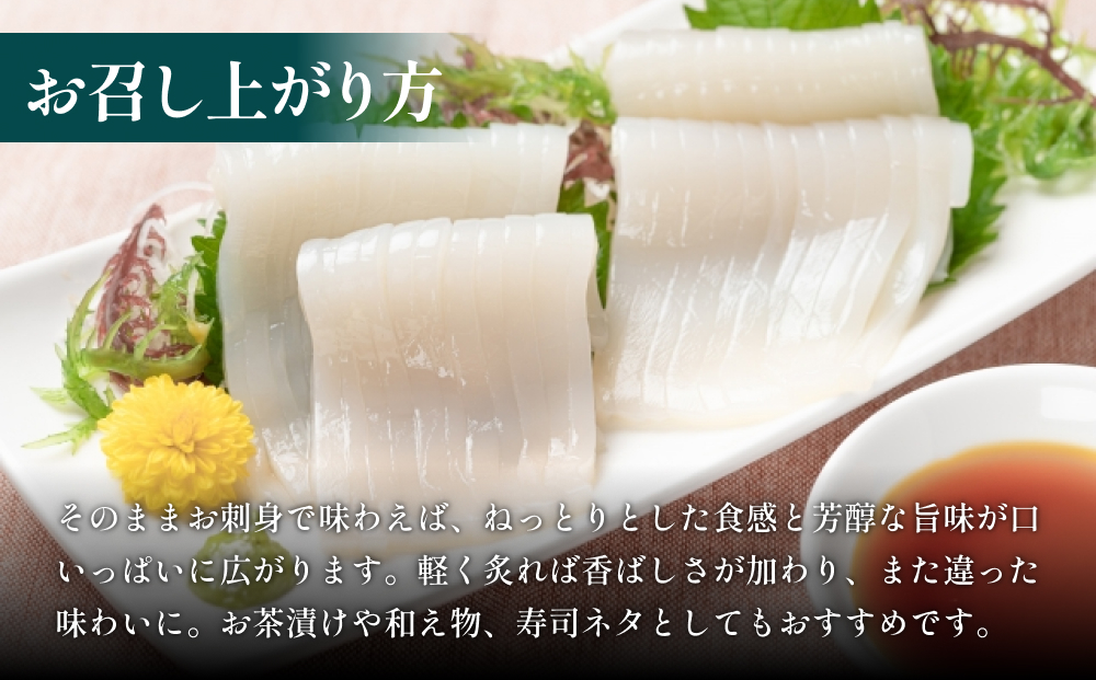 いか 昆布締め 80g×5 刺身 昆布〆 イカ 冷凍 魚 富山県 氷見