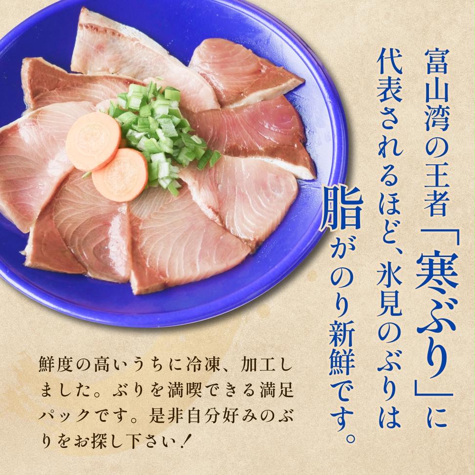 氷見ぶり三昧・極 鰤 ブリ 漬け ジャーキー 富山県 氷見市 