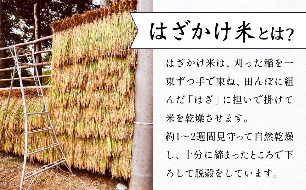 令和7年産 富山県産コシヒカリ 5kg　恋米（ここまい） 天風