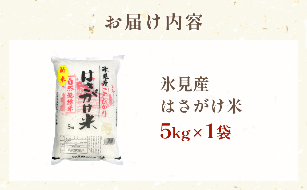 《数量限定》令和７年産 はさがけ米 精米5kg 富山県 氷見市 
