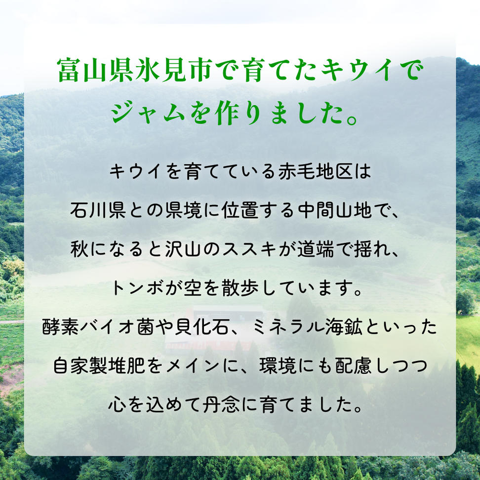 キウイジャム （150g×4瓶） 氷見キウイランド ジャム キウイ