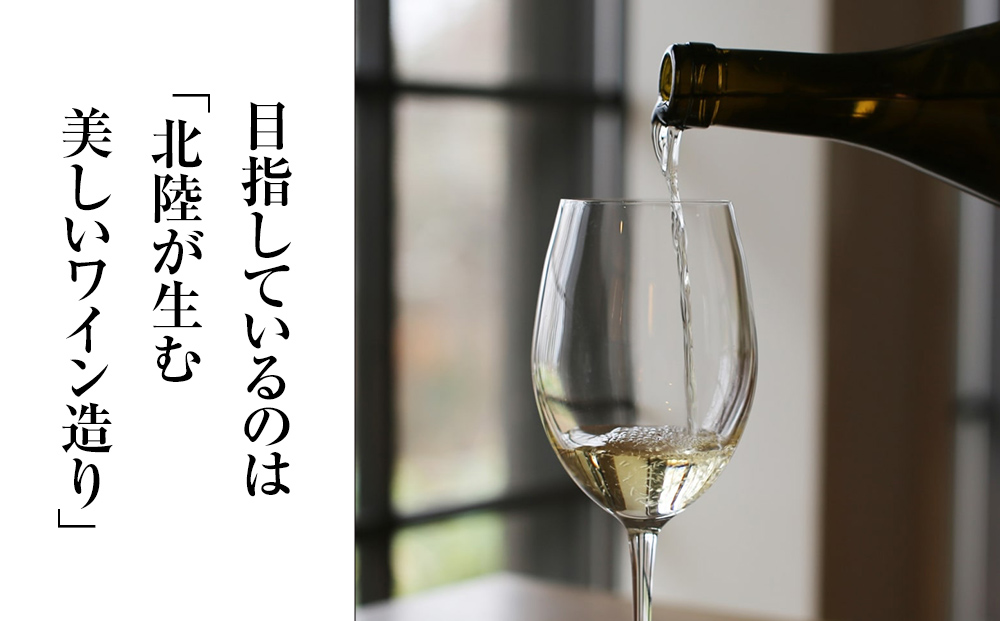 【先行予約】SAYS FARM ワイン4本セット ＜2026年3月以降順次発