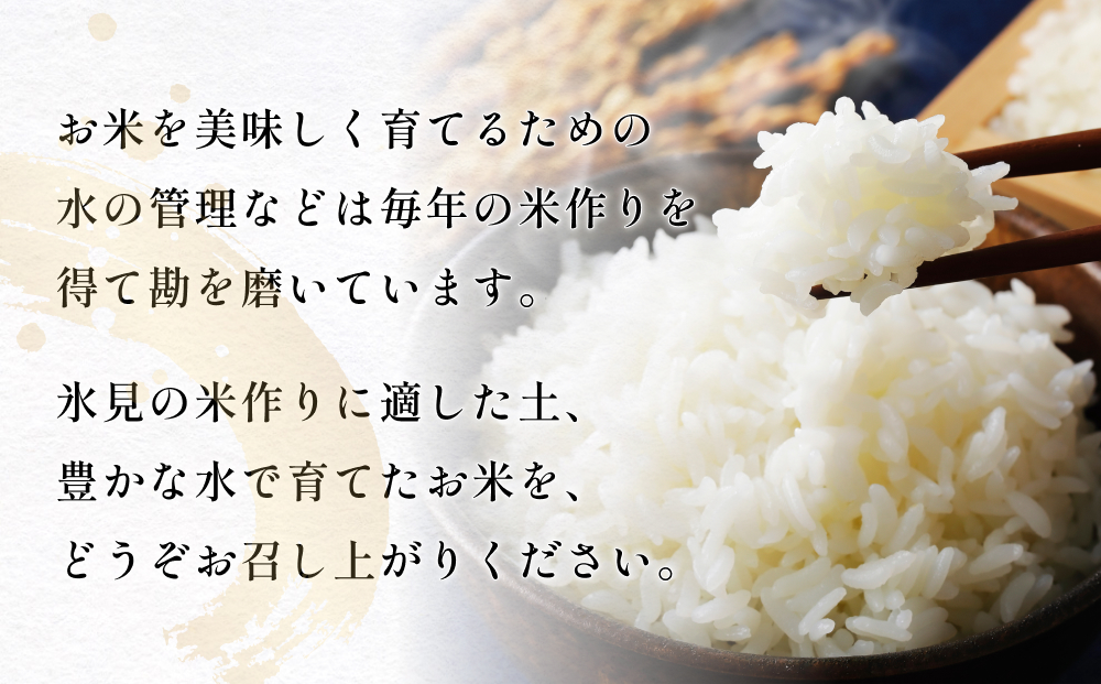 【3回定期便】富山県産 コシヒカリ 10kg 富山県 氷見市 米 コ