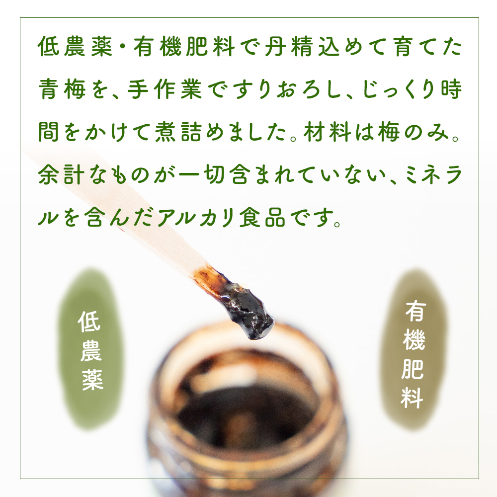梅肉エキス 氷見稲積梅100% 2個 富山県 氷見市 国産 うめ 青