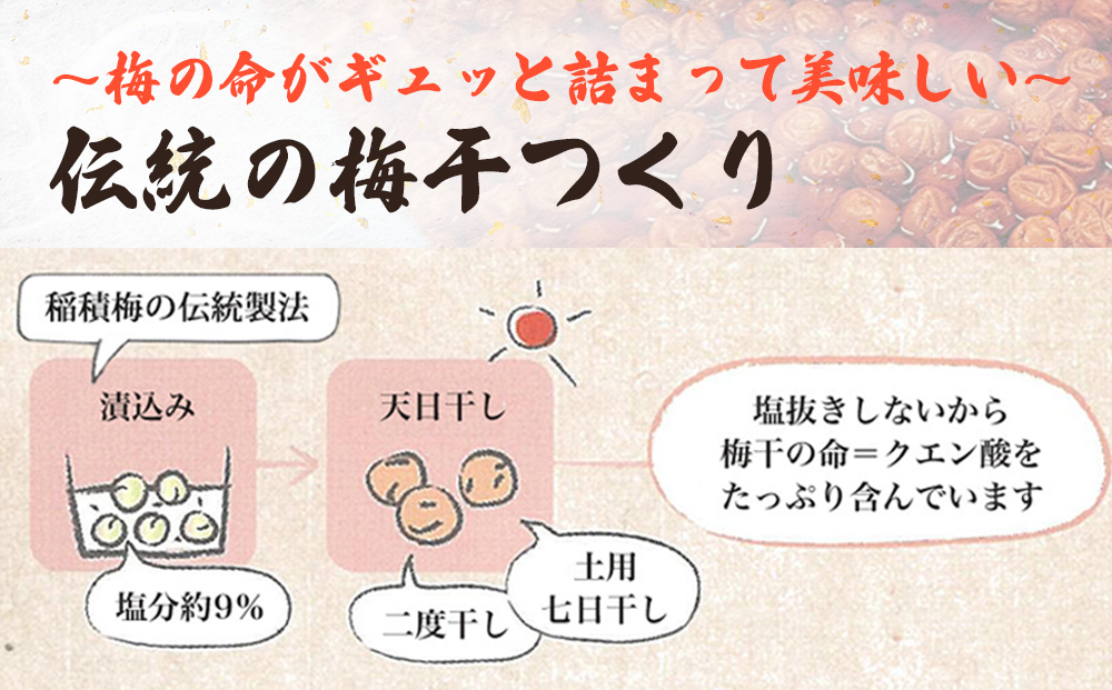 梅干し お米（10kg）付き！｜　富山県 氷見市 固定種 稲積梅