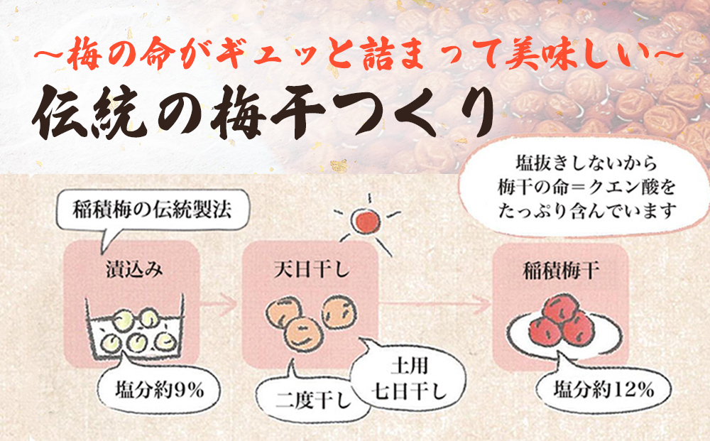 越中伝統梅干し 氷見稲積梅 1kg （塩分約12%）