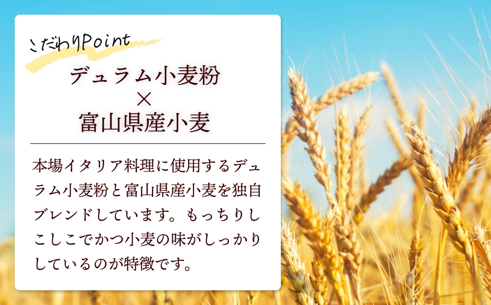 氷見パスタ10人前　【麺類・パスタ】