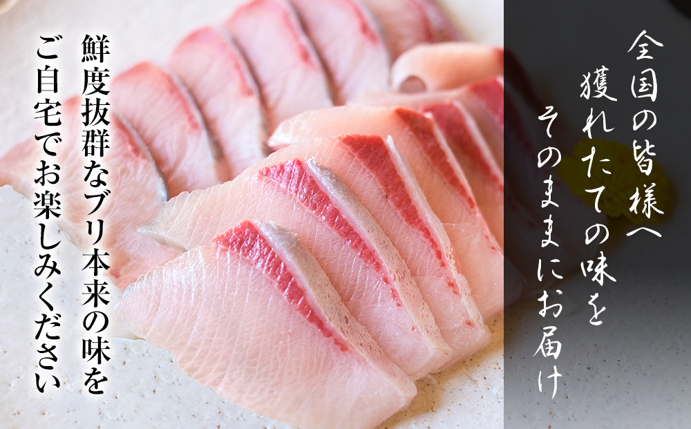 【数量限定】氷見天然ブリしゃぶしゃぶ用２２０ｇ〈冷凍