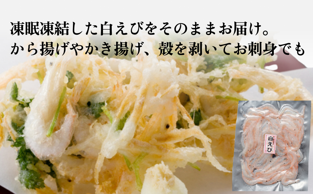 ”富山湾の宝石”白エビ３種（殻付き・刺身・昆布〆）〈