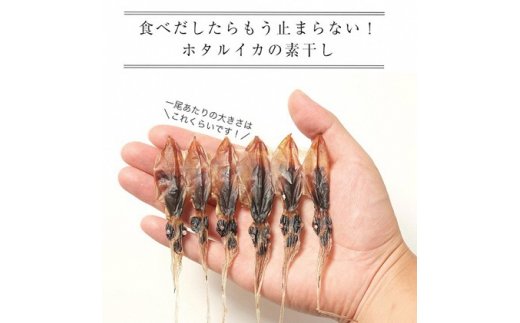 越中氷見屋　ホタルイカ 素干し 18尾入り × 5袋　【魚貝類