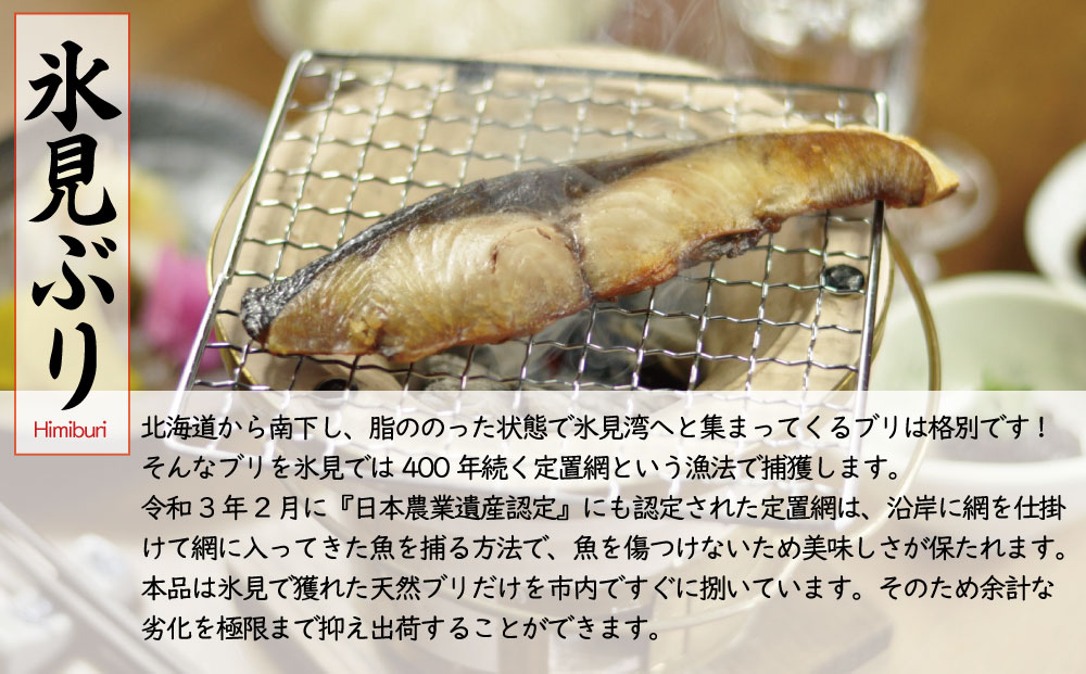 【年間3回定期便】職人手作り地魚一夜干真空パックと富山